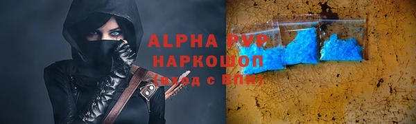 шишки Абаза