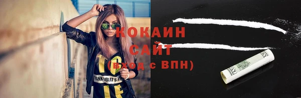 шишки Абаза