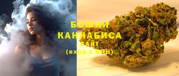 шишки Абаза