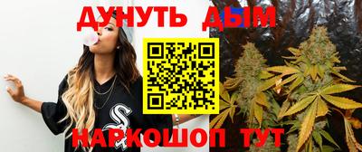 apvp Аша