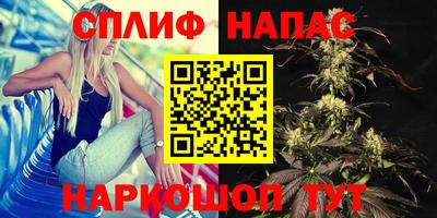 эйфоретик Бердск