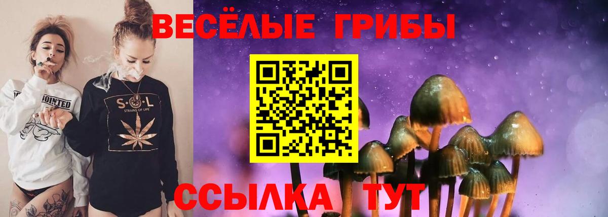 Псилоцибиновые грибы мицелий  Вход с VPN  Барнаул 